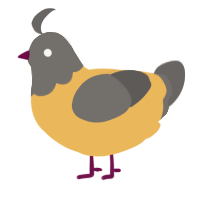 A honey and grey chicken with a head pattern