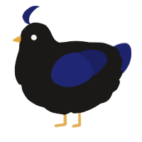 A sable and navy chicken