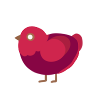 Candy Apple, a maroon and crimson chicken with a head pattern