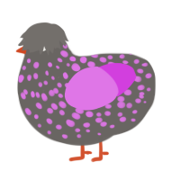 A grey and orchid chicken with a speckle pattern