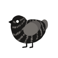 (unnamed), a sable and grey chicken with a bar pattern