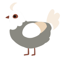 A ash and cream chicken with a head pattern