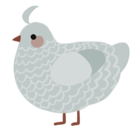 A silver chicken with a lace pattern