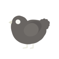 A grey chicken
