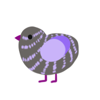 hypotenuse, a grey and lilac chicken with a bar pattern