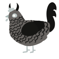 A grey and black chicken with a lace pattern