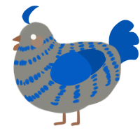 A ash and ultramarine chicken with a bar pattern