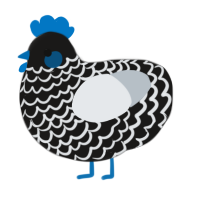 A sable and mist chicken with a lace pattern