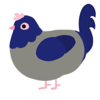 Blueberry, a ash and navy chicken with a head pattern