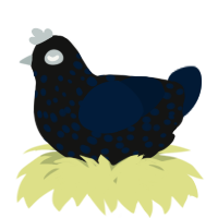 A black and tumblr chicken with a speckle pattern