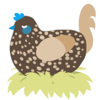 A bark and beige chicken with a speckle pattern