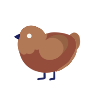 Bawk Shil 박실, a russet and brown chicken with a head pattern