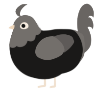 Plumeis, a sable and grey chicken with a head pattern