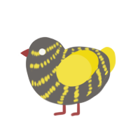 (unnamed), a grey and yellow chicken with a bar pattern