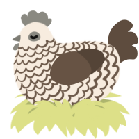 A cream and bark chicken with a lace pattern