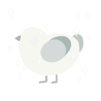 (unnamed), a white and silver chicken