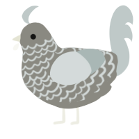 A ash and silver chicken with a lace pattern
