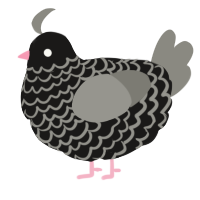A sable and ash chicken with a lace pattern