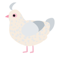 A cream and mist chicken with a speckle pattern