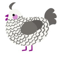 A white and grey chicken with a lace pattern