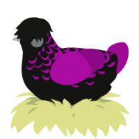 A black and plum chicken with a half-lace pattern