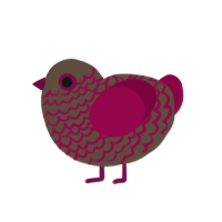 Sulla, a bark and maroon chicken with a lace pattern