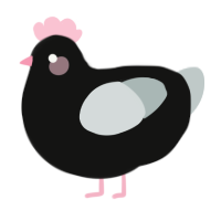 A black and silver chicken