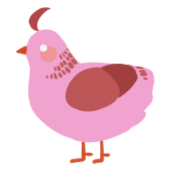 A pink and red chicken with a neck-band pattern