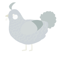 A mist and silver chicken with a lace pattern