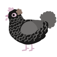 A sable and grey chicken with a lace pattern