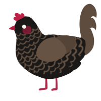 A sable and bark chicken with a lace pattern