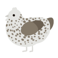 A mist and grey chicken with a speckle pattern