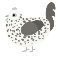 A white and grey chicken with a speckle pattern