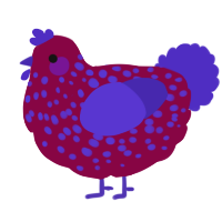 A maroon and indigo chicken with a speckle pattern