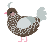 A bark and silver chicken with a lace pattern