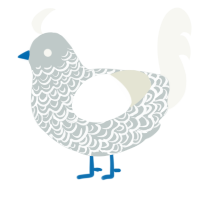 A silver and white chicken with a double-lace pattern