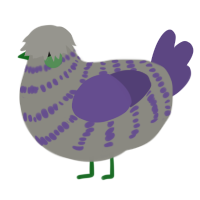 Lilac Rain, a ash and overcast chicken with a bar pattern