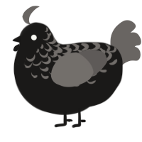 A sable and grey chicken with a half-lace pattern