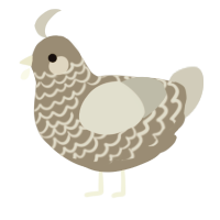 A ash and silver chicken with a lace pattern