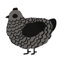 A grey and black chicken with a lace pattern