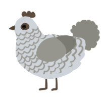 A mist and ash chicken with a lace pattern