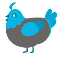 A grey and cerulean chicken with a head pattern