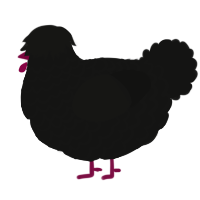 A black chicken with a lace pattern