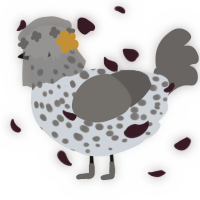 A mist and grey chicken with a speckle pattern