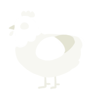 A white chicken with a head pattern