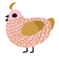 Rose Gold, a rose and gold chicken with a lace pattern