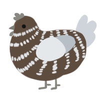 A bark and mist chicken with a bar pattern