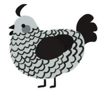 A silver and sable chicken with a lace pattern