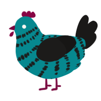 A teal and sable chicken with a bar pattern