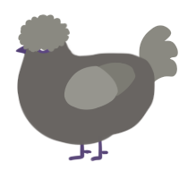 A grey and ash chicken